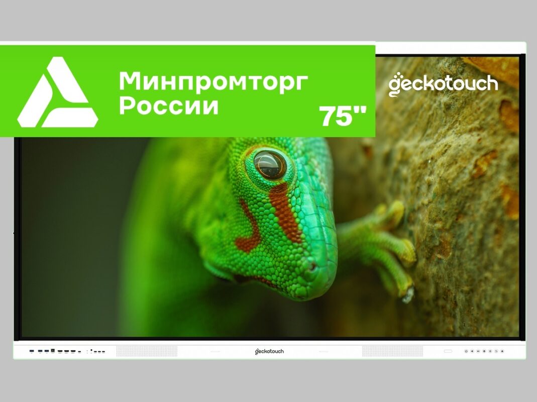 Интерактивная панель Geckotouch Interactive 75RT