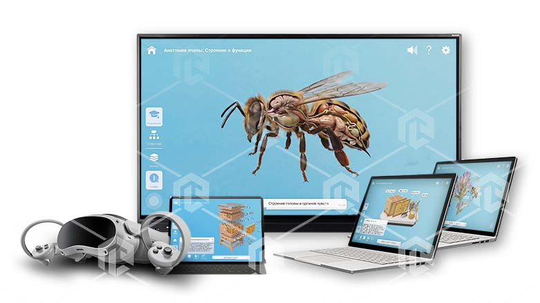 Интерактивное наглядное 3D пособие «Познание: Пчеловодство» Интерактивное наглядное 3D пособие «Познание: Пчеловодство» Интерактивное наглядное 3D пособие «Познание: Пчеловодство» Интерактивное наглядное 3D пособие «Познание: Пчеловодство» Интерактивное наглядное 3D пособие «Познание: Пчеловодство» Интерактивное наглядное 3D пособие «Познание: Пчеловодство»