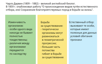 Наглядная биология. 10 — 11 классы. Эволюционное учение Наглядная биология. 10 — 11 классы. Эволюционное учение Наглядная биология. 10 — 11 классы. Эволюционное учение