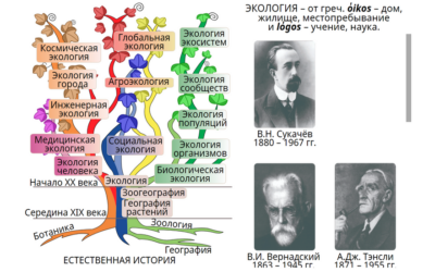 Наглядная биология. Введение в экологию Наглядная биология. Введение в экологию Наглядная биология. Введение в экологию