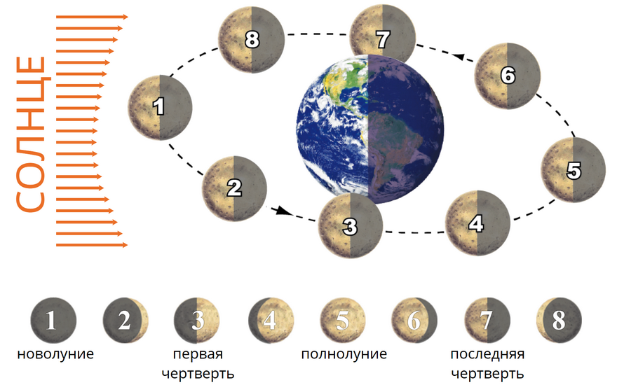 Наглядная география. 5 – 6 классы Наглядная география. 5 – 6 классы Наглядная география. 5 – 6 классы Наглядная география. 5 – 6 классы Наглядная география. 5 – 6 классы Наглядная география. 5 – 6 классы