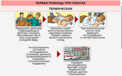 ОБЖ. Основы медицинских знаний и здорового образа жизни ОБЖ. Основы медицинских знаний и здорового образа жизни ОБЖ. Основы медицинских знаний и здорового образа жизни