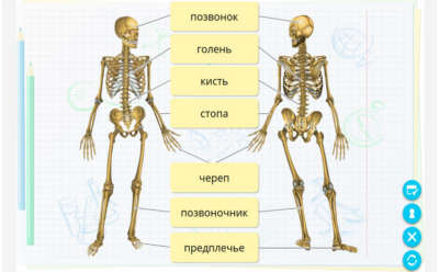 Окружающий мир. 3 класс. Человек и природа Окружающий мир. 3 класс. Человек и природа Окружающий мир. 3 класс. Человек и природа