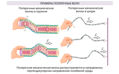 Наглядная физика. Механические колебания и волны Наглядная физика. Механические колебания и волны Наглядная физика. Механические колебания и волны