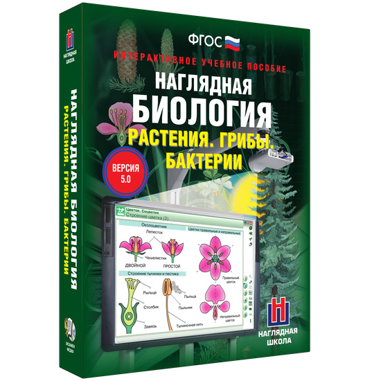 Наглядная биология. Растения. Грибы. Бактерии Наглядная биология. Растения. Грибы. Бактерии Наглядная биология. Растения. Грибы. Бактерии
