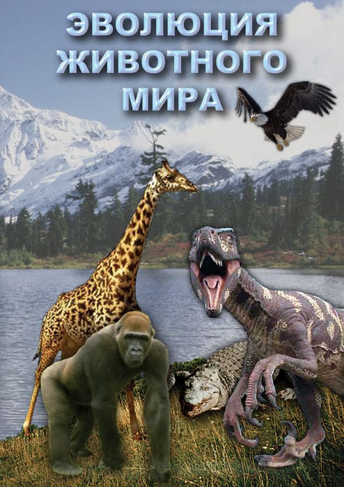 Обучающий фильм «Эволюция животного мира Обучающий фильм «Эволюция животного мира Обучающий фильм «Эволюция животного мира
