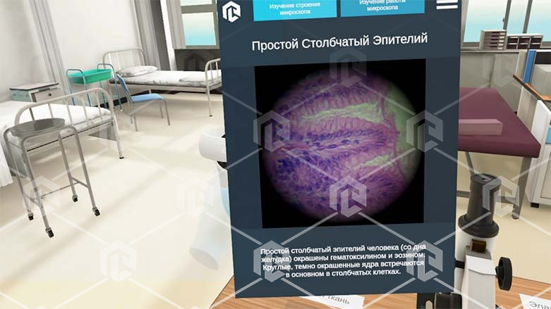Виртуальный учебный комплекс «Наглядная биология PL-BiologyVR» Максимальная, К3 Виртуальный учебный комплекс «Наглядная биология PL-BiologyVR» Максимальная, К3 Виртуальный учебный комплекс «Наглядная биология PL-BiologyVR» Максимальная, К3 Виртуальный учебный комплекс «Наглядная биология PL-BiologyVR» Максимальная, К3 Виртуальный учебный комплекс «Наглядная биология PL-BiologyVR» Максимальная, К3 Виртуальный учебный комплекс «Наглядная биология PL-BiologyVR» Максимальная, К3