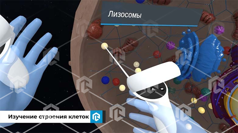 Виртуальный учебный комплекс «Наглядная биология PL-BiologyVR» Максимальная, К3 Виртуальный учебный комплекс «Наглядная биология PL-BiologyVR» Максимальная, К3 Виртуальный учебный комплекс «Наглядная биология PL-BiologyVR» Максимальная, К3 Виртуальный учебный комплекс «Наглядная биология PL-BiologyVR» Максимальная, К3 Виртуальный учебный комплекс «Наглядная биология PL-BiologyVR» Максимальная, К3 Виртуальный учебный комплекс «Наглядная биология PL-BiologyVR» Максимальная, К3