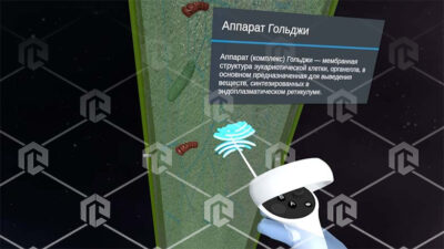 Виртуальный учебный комплекс «Наглядная биология PL-BiologyVR» Максимальная, К3 Виртуальный учебный комплекс «Наглядная биология PL-BiologyVR» Максимальная, К3 Виртуальный учебный комплекс «Наглядная биология PL-BiologyVR» Максимальная, К3