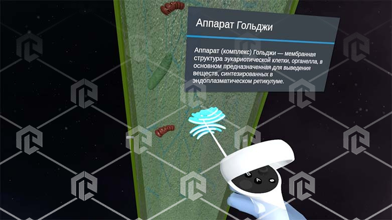 Виртуальный учебный комплекс «Наглядная биология PL-BiologyVR» Максимальная, К3 Виртуальный учебный комплекс «Наглядная биология PL-BiologyVR» Максимальная, К3 Виртуальный учебный комплекс «Наглядная биология PL-BiologyVR» Максимальная, К3 Виртуальный учебный комплекс «Наглядная биология PL-BiologyVR» Максимальная, К3 Виртуальный учебный комплекс «Наглядная биология PL-BiologyVR» Максимальная, К3 Виртуальный учебный комплекс «Наглядная биология PL-BiologyVR» Максимальная, К3