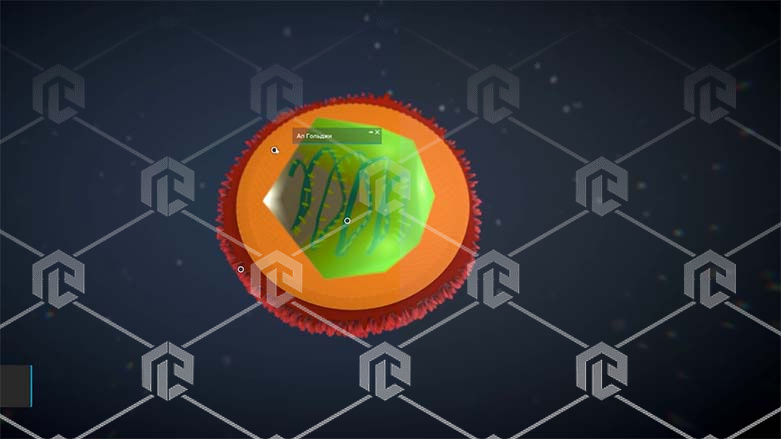 Виртуальный учебный комплекс «Наглядная биология PL-BiologyVR» Максимальная, К3 Виртуальный учебный комплекс «Наглядная биология PL-BiologyVR» Максимальная, К3 Виртуальный учебный комплекс «Наглядная биология PL-BiologyVR» Максимальная, К3 Виртуальный учебный комплекс «Наглядная биология PL-BiologyVR» Максимальная, К3 Виртуальный учебный комплекс «Наглядная биология PL-BiologyVR» Максимальная, К3 Виртуальный учебный комплекс «Наглядная биология PL-BiologyVR» Максимальная, К3