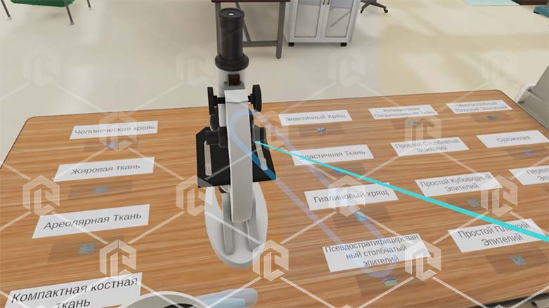 Виртуальный учебный комплекс «Наглядная биология PL-BiologyVR» Максимальная, К3 Виртуальный учебный комплекс «Наглядная биология PL-BiologyVR» Максимальная, К3 Виртуальный учебный комплекс «Наглядная биология PL-BiologyVR» Максимальная, К3 Виртуальный учебный комплекс «Наглядная биология PL-BiologyVR» Максимальная, К3 Виртуальный учебный комплекс «Наглядная биология PL-BiologyVR» Максимальная, К3 Виртуальный учебный комплекс «Наглядная биология PL-BiologyVR» Максимальная, К3